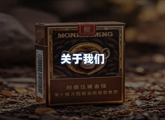 关于我们